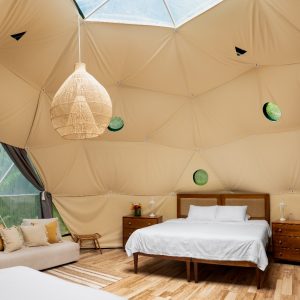 Plus One Rate - Dome