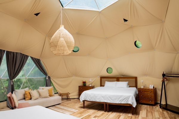Plus One Rate - Dome