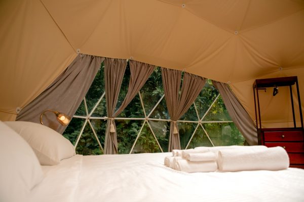 Plus One Rate - Dome - Image 4