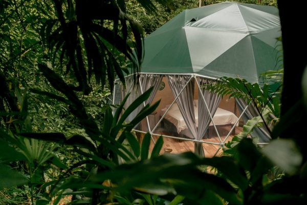 Plus One Rate - Dome - Image 3