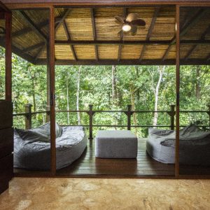 Plus One Rate - Jungle Bungalow