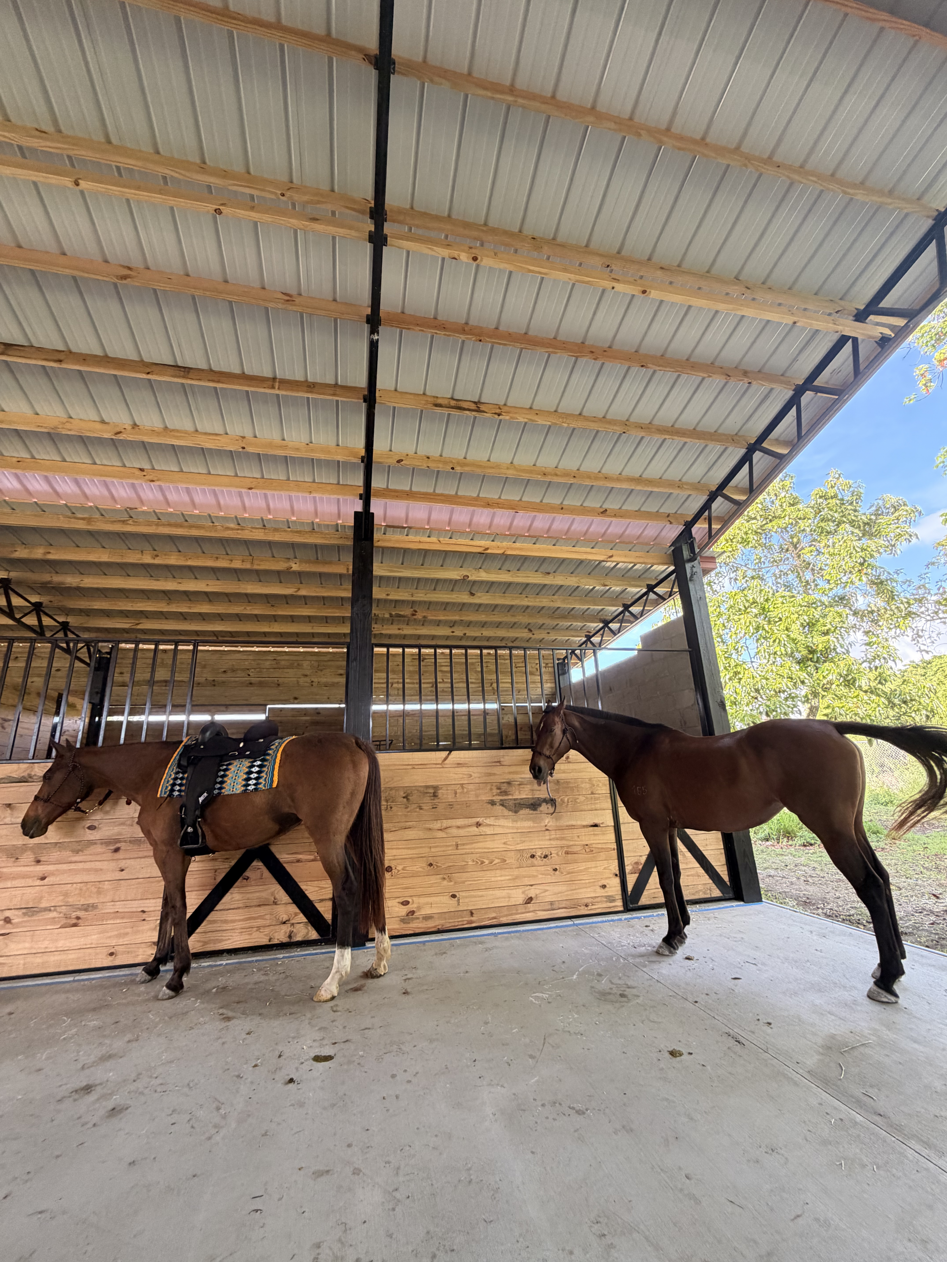 Horse Boarding